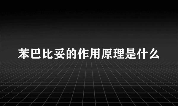 苯巴比妥的作用原理是什么