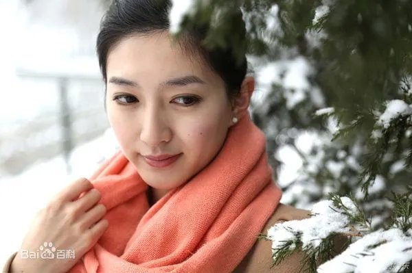 江疏影个人资料图片 简介