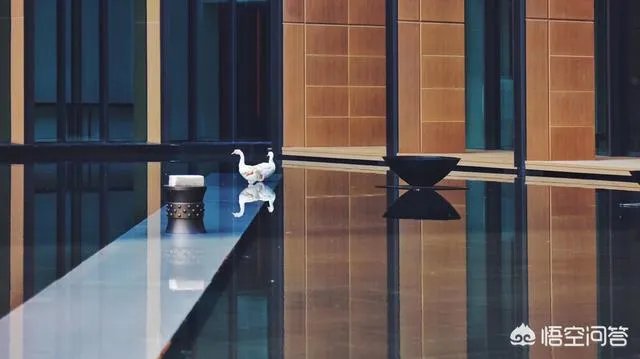 南京适合度假的酒店有哪些？