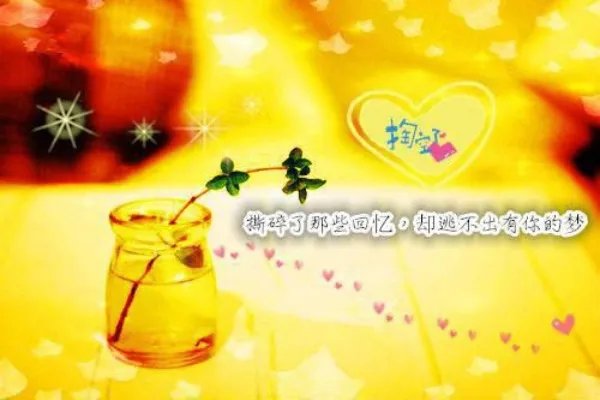 万岁岁的小说温夏战司宴温夏战司宴完结版阅读