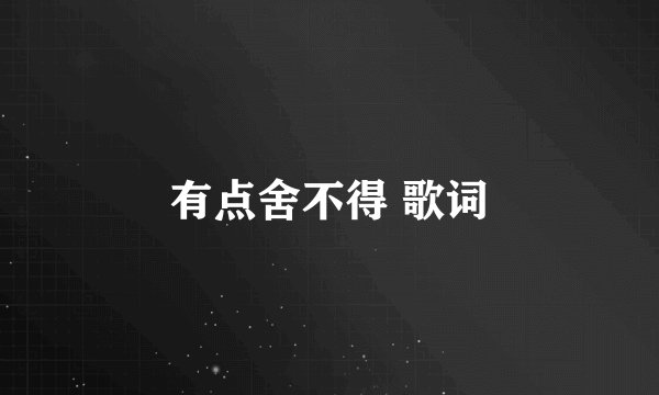 有点舍不得 歌词