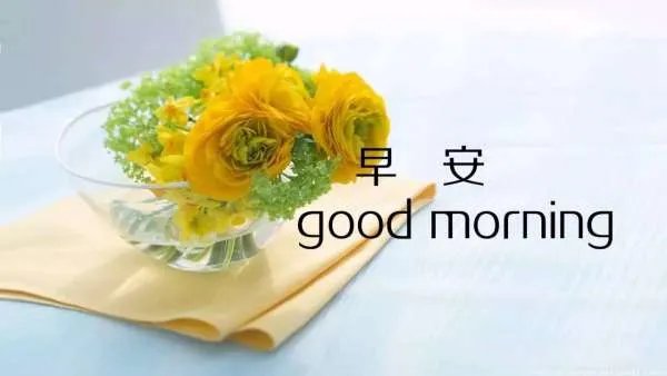 早安心语简单一句话 满满的好心情