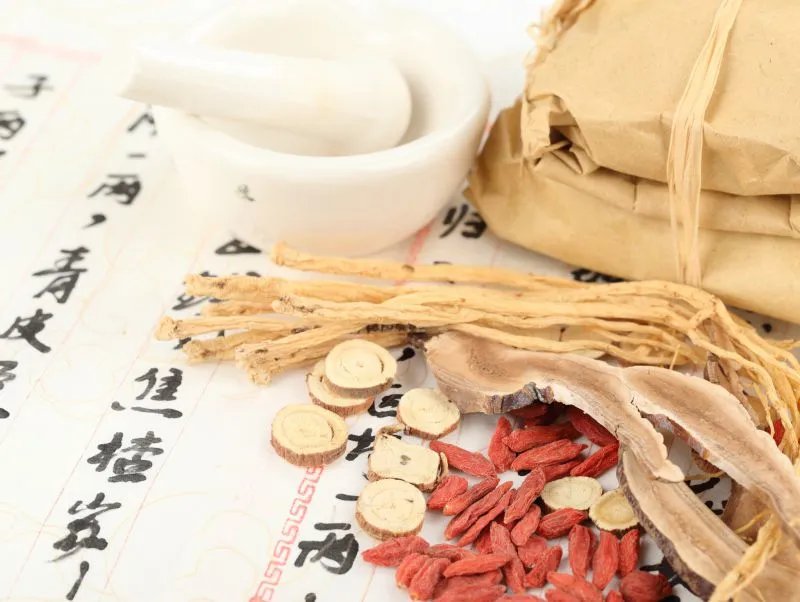 蚯蚓的作用是什么