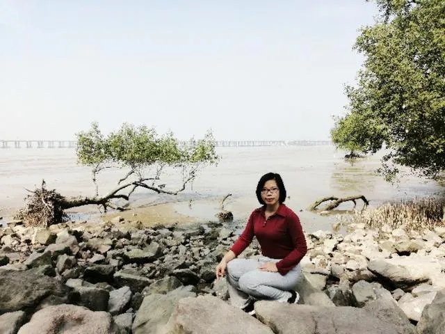 钱袋子代表什么意思