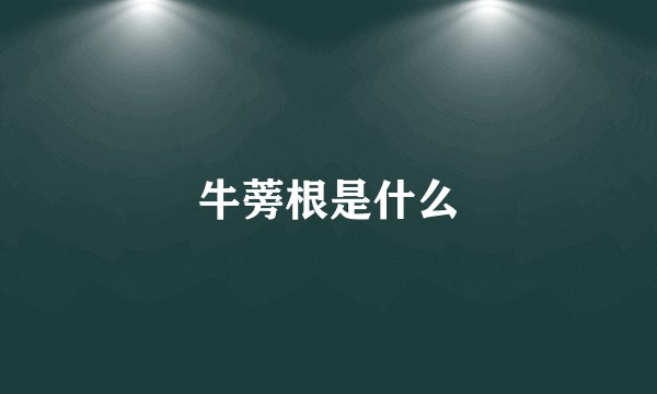 牛蒡根是什么