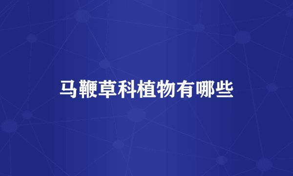 马鞭草科植物有哪些