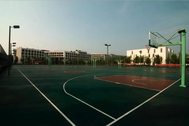 浙江科技学院怎么样?