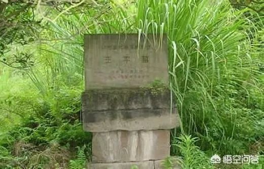 三国演义中王平是个怎样的人