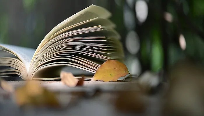 希冀是什么意思