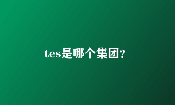 tes是哪个集团？