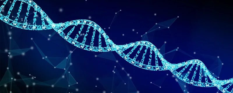 脱氧核糖是什么 脱氧核糖由什么组成的