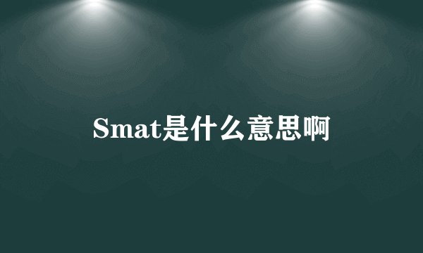 Smat是什么意思啊