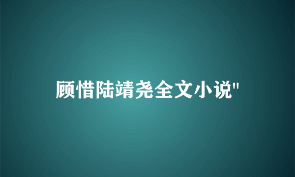 顾惜陆靖尧全文小说