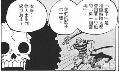 海贼王霸气究竟是什么?海贼王霸气详细介绍