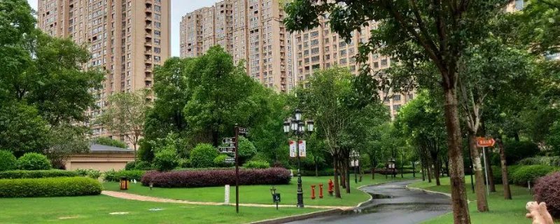 小区物业是干什么的