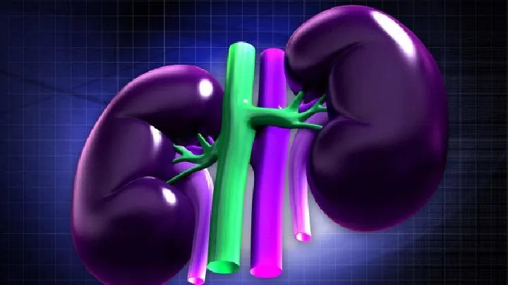 慢性肾炎能治好吗 需要注意3点