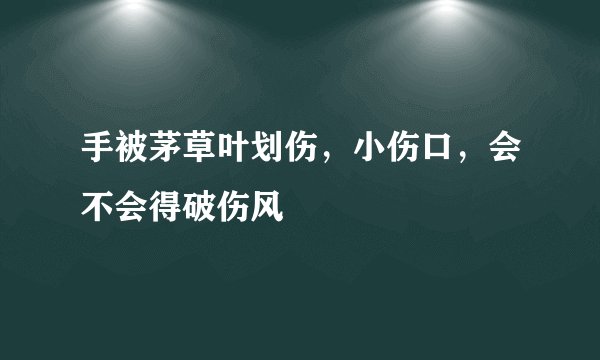 手被茅草叶划伤，小伤口，会不会得破伤风