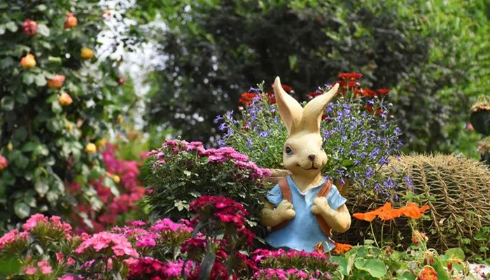 兔年是哪年 上个兔年是哪年