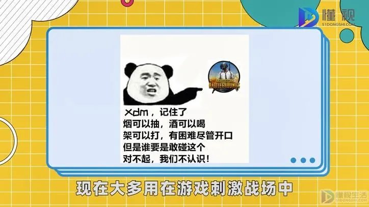 xxdm是什么意思
