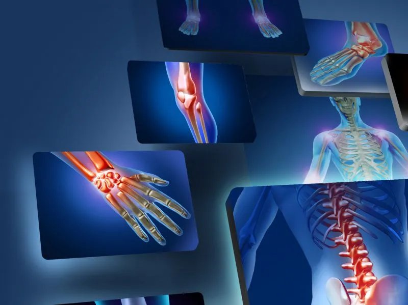 中药蝼蛄的功效与作用