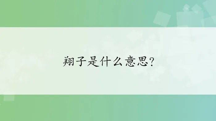 翔子是什么意思？