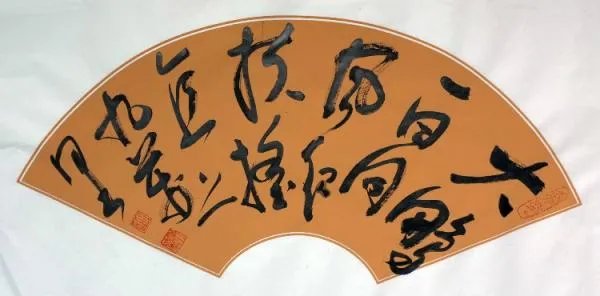 大鹏一日同风起,扶摇直上九万里什么意思