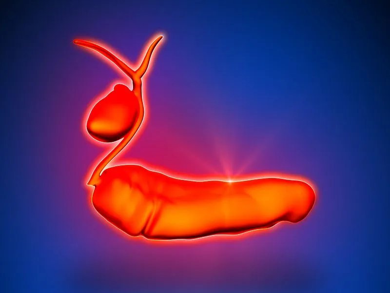 熊胆粉价格是多少