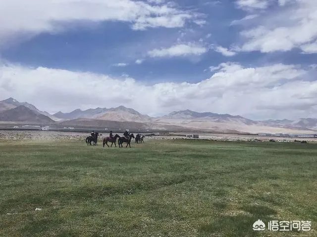 3月份国内有哪些适合旅游的地方？