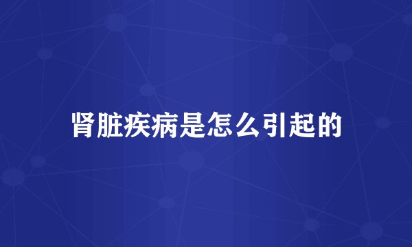 肾脏疾病是怎么引起的