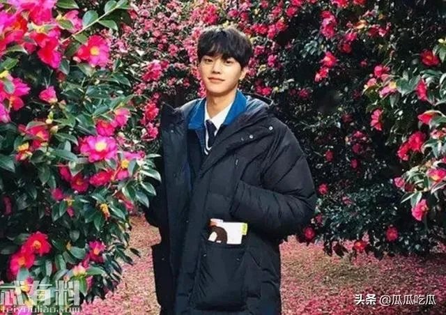 有哪些偶像爱情剧?