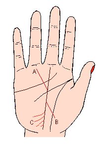 事业线图解，最详细的图文让你看懂事业线命运线