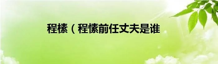 程榡（程愫前任丈夫是谁