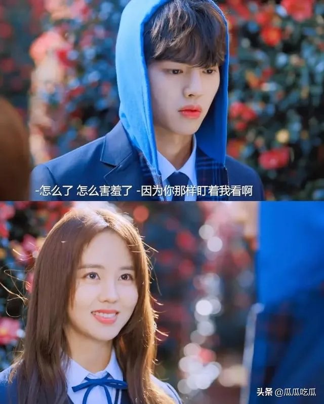 有哪些偶像爱情剧?