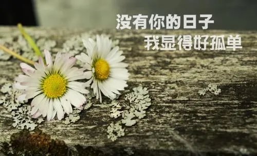 唯美图片伤感图片?