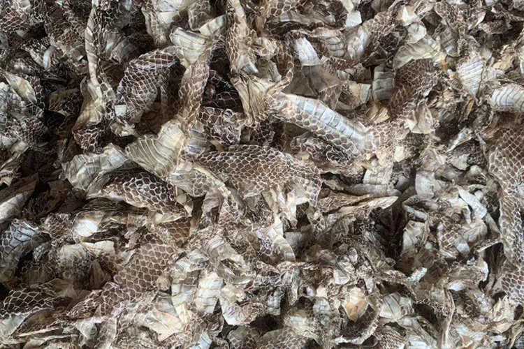 像蛇皮一样的中药图片