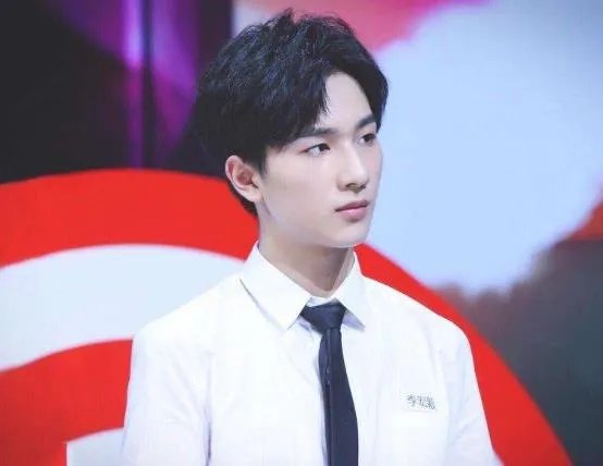 成毅和李宏毅长的好像:成毅李宏毅是什么关系