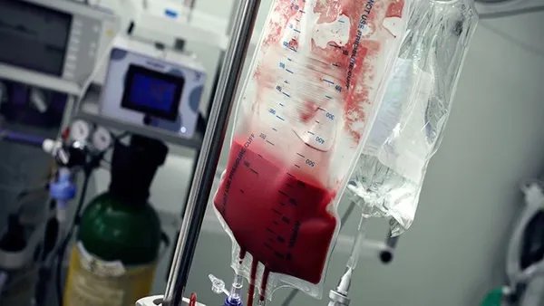 什么是熊猫血型