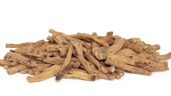 党参的功效与作用