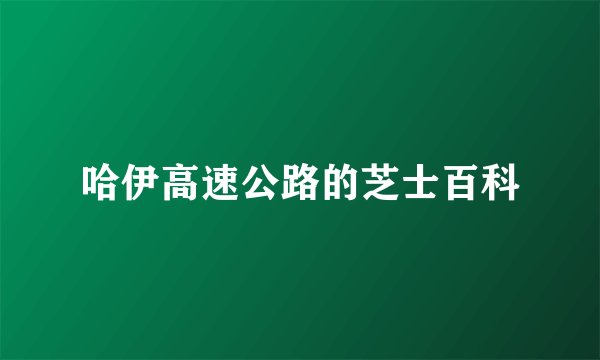 哈伊高速公路的芝士百科