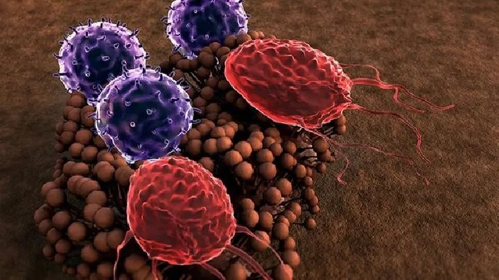 什么是泌尿系统肿瘤