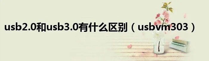 usb2.0和usb3.0有什么区别（usbvm303）