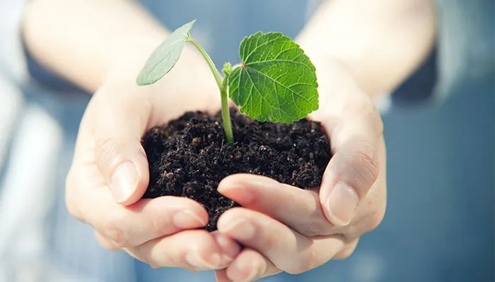 世界地球日是每年的哪一天 世界地球日是几号