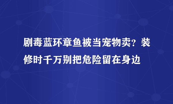 剧毒蓝环章鱼被当宠物卖？装修时千万别把危险留在身边