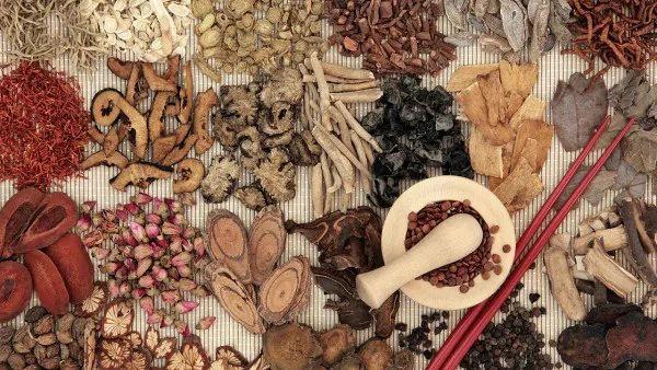 牛蒡子的功效与作用