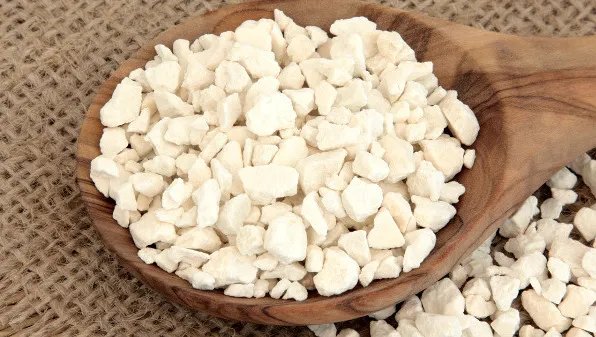 白茯苓的功效与作用