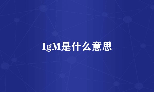 IgM是什么意思
