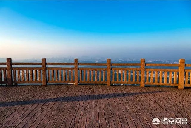 适马50-1.4art和佳能50-1.4的区别是什么？哪个更值得入手？