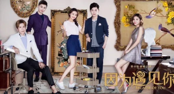 因为遇见你剧情介绍