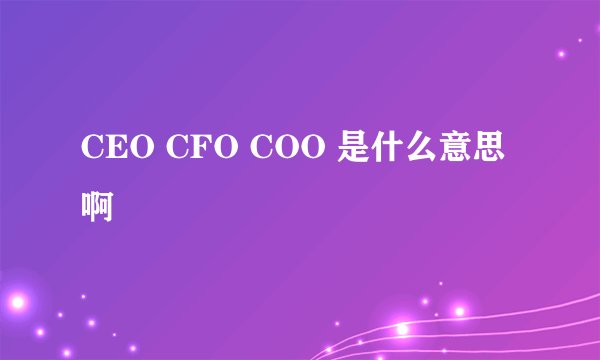CEO CFO COO 是什么意思啊