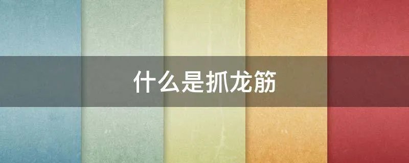 什么是抓龙筋